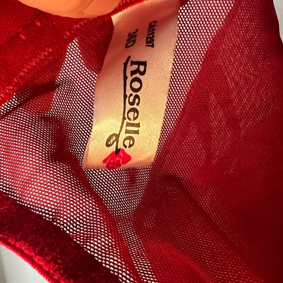 Roselle Red Corset with hook eye closure 36D - Picture 6 of 6